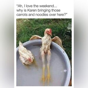 Mystery Items🥳🚨